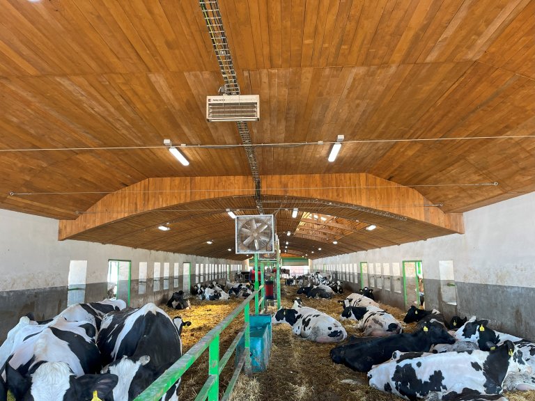 Agrodružstvo - Litobratřice